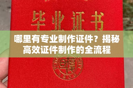 肥东哪里有专业制作证件？揭秘高效证件制作的全流程